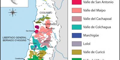 地图智利的葡萄酒产地 